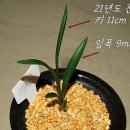 축동우체국 이미지