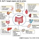 2형 당뇨병 혈당 조절 개선 식이요법 보조제 트루리시티(Trulicity) 1회용 펜 이미지