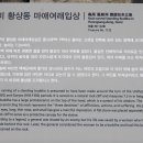 옥계2공단로2-26 이미지