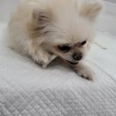 옆집공인중개사사무소 이미지