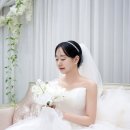 아모르스냅