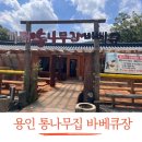 통나무집 | 용인 아이와 갈만한곳 용인 처인구맛집 통나무집 바베큐장 후기