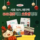 앤더독 네이버블로그
