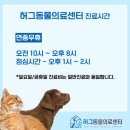 허그동물의료센터 이미지