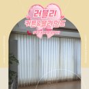 러블리커튼 - 양천구 신월로 333 | 구미 아파트 커튼 & 블라인드 시공 후기(with 구미 러블리)