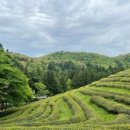 늘푸른 흑염소가든 보성본점 이미지