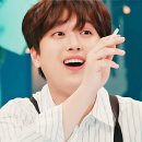 아이큐25시 이미지