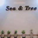 씨앤트리(Sea&Tree) 이미지