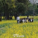 허브와사랑에빠지다 - 청도군 청화로 130 | 허브와사랑에빠지다
