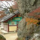 주사암 - 1660 | 주사암