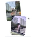 명랑핫도그동백백현 | 6월 8일 - 14일 일상