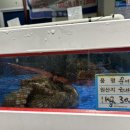 수산물도소매쎈터 이미지
