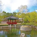 작은등샘 이미지