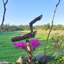 윤철농장 이미지