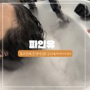 김이수 | 의정부 파인유 미용실 뿌리염색 잘하는 곳 김이수 디자이너 아윤체 케어까지 만족한 후기