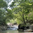 다은이네 민박 이미지