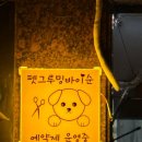 펫그루밍바이순 이미지