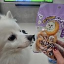 팝콘독 | [N+21회차] 쿠팡체험단 저가 강아지 간식 더독 강아지 미트팝콘링 소프트 육포 간식 체험단 선정 팁