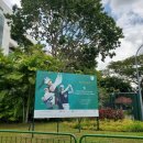 싱가포르] 골프 대회 갤러리 참관 후기 : 2024 KLPGA...여자오픈 Hana Financial Singapore Women&#39;s Open
