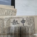 신보지질