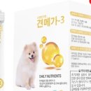 마이펫30 이미지