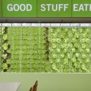 미국버거 이미지