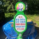 한스와그레텔 | 16. 초여름 야호🌿🎶