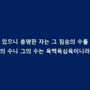 마리이야기 이미지