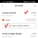 상미 이미지