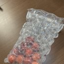 탱탱과일 | 하우스자두 여름제철과일 산지직송 후기 영천자두