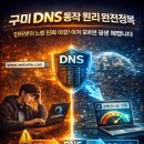 백호피싱 | 구미 DNS 동작 원리 완전정복 인터넷이 느린 진짜 이유 이거 모르면 평생 헤맵니다