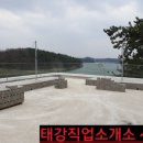 칼라직업소개소 이미지