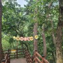 자천초교 이미지