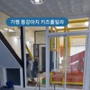 키즈풀빌라똥강아지 이미지