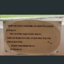 [도쿄카페추천] 여기가 도쿄?! 분위기 끝판왕 프리미엄 카페 | 사푸(SAFU) 방문 후기