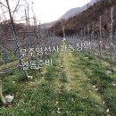 명선농장 이미지