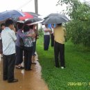 박진농장 이미지