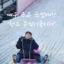 봉식이놀이터 | 대구 근교 눈썰매장 청도 봉식이놀이터 평상대여 및 후기