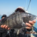 대구대물피싱 이미지