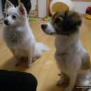 오복펜션 이미지