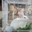 파트원펜션 이미지