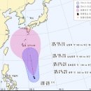 (주)피토