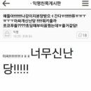 도그어바웃 이미지