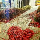 동두천로 | 동두천 북 카페 ‘토끼의 지혜’ - 책 덕후라면 그냥 지나칠 수 없는 감성 아지트!!