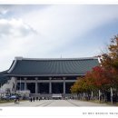 독립농장 이미지