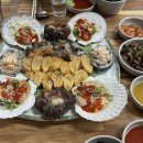 죽도해삼 이미지