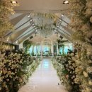 비젼투어(주) | [W.1-6] ღ웨딩홀투어ღ | 분당 더 메리든 2026년 상담 후기 견적 공유 (계약O)