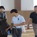펠리체승마클럽 이미지