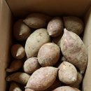 한얼농장 이미지