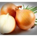 속편한한의원 이미지